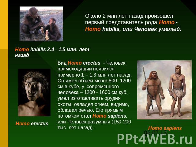 Около 2 млн лет назад произошел первый представитель рода Homo - Homo habilis, или Человек умелый. Вид Homo erectus - Человек прямоходящий появился примерно 1 – 1,3 млн лет назад. Он имел объем мозга 800- 1200 см в кубе, у современного человека – 12…