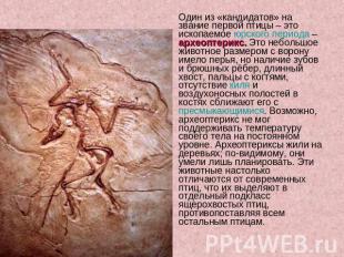 Один из «кандидатов» на звание первой птицы – это ископаемое юрского периода – а