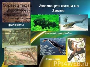 Эволюция жизни на Земле (находки археологов) Трилобиты Кистепёрые рыбыРептилии