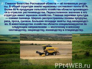 Главное богатство Ростовской области — её почвенные ресур-сы. В общей структуре