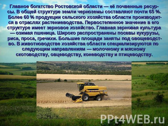 Главное богатство Ростовской области — её почвенные ресур-сы. В общей структуре земли черноземы составляют почти 65 %. Более 60 % продукции сельского хозяйства области производит-ся в отраслях растениеводства. Первостепенное значение в его структуре…