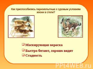 Как приспособились парнокопытные к суровым условиям жизни в степи? Маскирующая о