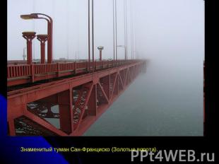 Знаменитый туман Сан-Франциско (Золотые ворота).