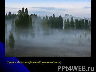 Туман в Изборской Долине (Псковская область).