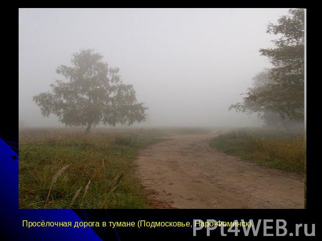 Просёлочная дорога в тумане (Подмосковье, Наро-Фоминск).