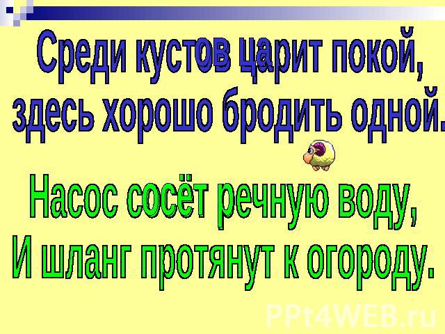 Среди кустов царит покой,здесь хорошо бродить одной.Насос сосёт речную воду,И шланг протянут к огороду.