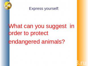 Express yourself: What can you suggest in order to protect endangered animals?