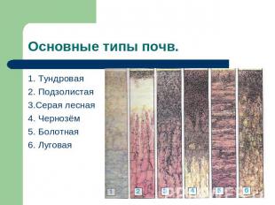 Основные типы почв. 1. Тундровая2. Подзолистая3.Серая лесная4. Чернозём5. Болотн
