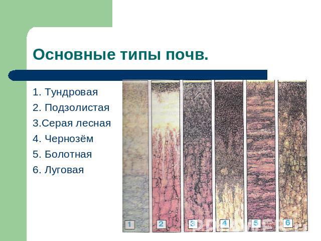 Основные типы почв. 1. Тундровая2. Подзолистая3.Серая лесная4. Чернозём5. Болотная6. Луговая