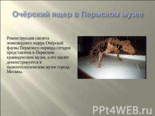 Очёрский ящер в Пермском музее Реконструкция скелета земноводного ящера Очёрской