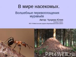 В мире насекомых. Волшебные перевоплощения муравьёв Автор: Чухрова ЮлияУченица 4