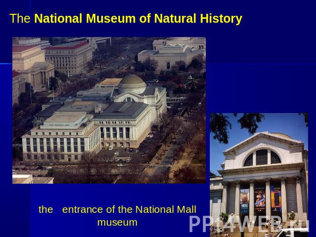 The National Museum of Natural Historythe entrance of the National Mall museum