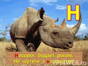 Носорог бодает рогом.Не шутите с носорогом!