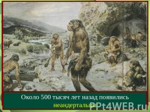 Около 500 тысяч лет назад появились неандертальцы