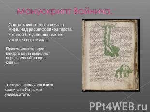 Манускрипт Войнича. Самая таинственная книга в мире, над расшифровкой текста кот