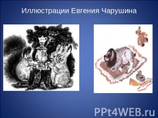 Иллюстрации Евгения Чарушина