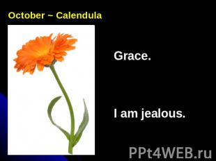 October ~ CalendulaGrace.I am jealous.