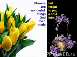 Flowers are wonderful thingsGodever madebut forgot to put a soul Into.