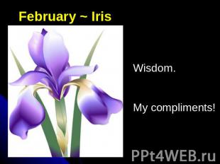 February ~ IrisWisdom.My compliments!