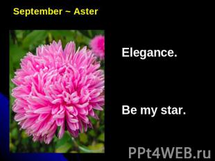 September ~ AsterElegance.Be my star.