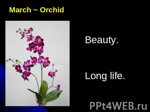 March ~ OrchidBeauty.Long life.