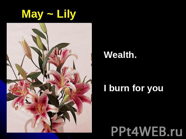 May ~ LilyWealth.I burn for you