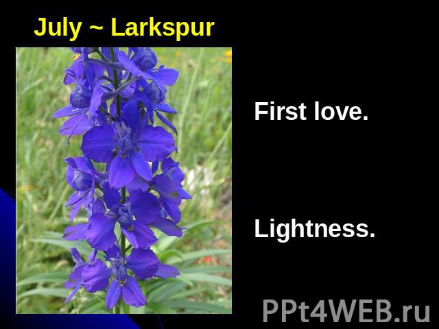 July ~ LarkspurFirst love.Lightness.