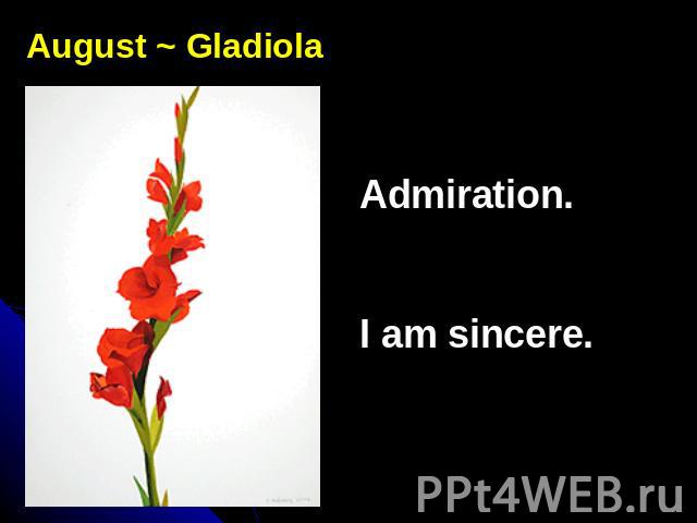 August ~ GladiolaAdmiration.I am sincere.