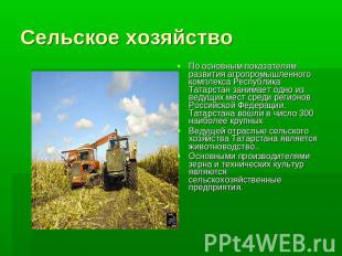 Сельское хозяйство По основным показателям развития агропромышленного комплекса