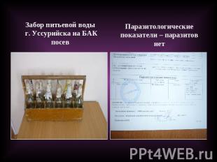 Забор питьевой воды г. Уссурийска на БАК посевПаразитологические показатели – па