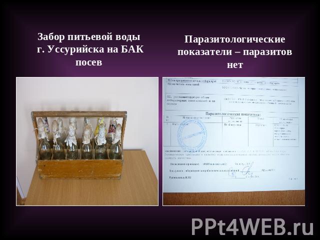 Забор питьевой воды г. Уссурийска на БАК посевПаразитологические показатели – паразитов нет