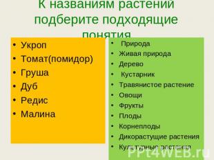 К названиям растений подберите подходящие понятия УкропТомат(помидор)ГрушаДубРед