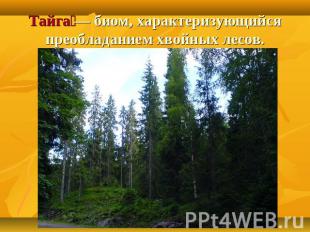 Тайга — биом, характеризующийся преобладанием хвойных лесов.