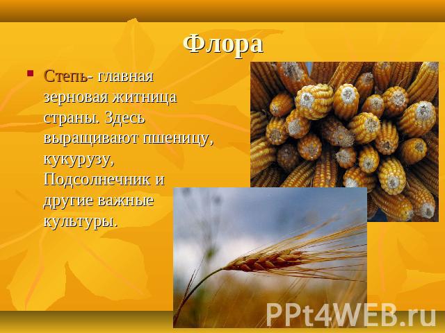 Флора Степь- главная зерновая житница страны. Здесь выращивают пшеницу, кукурузу, Подсолнечник и другие важные культуры.