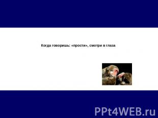 Когда говоришь: «прости», смотри в глаза