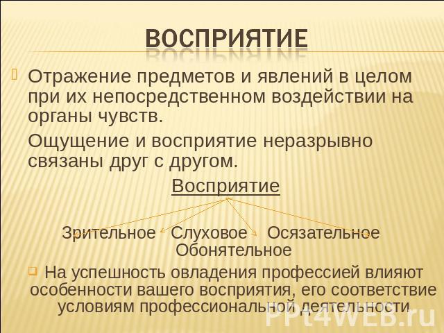 Восприятие отражает