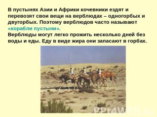 В пустынях Азии и Африки кочевники ездят и перевозят свои вещи на верблюдах – од