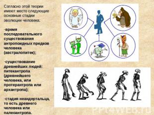 Согласно этой теории имеют место следующие основные стадии эволюции человека:вре
