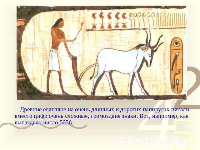 Древние египтяне на очень длинных и дорогих папирусах писали вместо цифр очень сложные, громоздкие знаки. Вот, например, как выглядело число 5656.