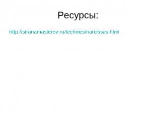 Ресурсы: http://stranamasterov.ru/technics/narcissus.html