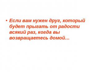 Если вам нужен друг, который будет прыгать от радости всякий раз, когда вы возвр