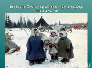 На севере Сибири проживают чукчи, народы ханты и манси