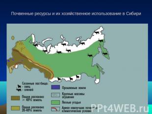 Почвенные ресурсы и их хозяйственное использование в Сибири