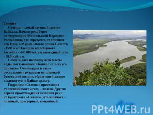 Селенга     Селенга - самый крупный приток Байкала. Начало река берет на террито