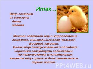 Итак… Яйцо состоит из скорлупы белка желтка Желток содержит жир и жироподобные в