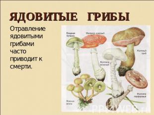 Ядовитые грибы Отравление ядовитыми грибами часто приводит к смерти.