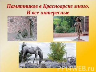 Памятников в Красноярске много.И все интересные