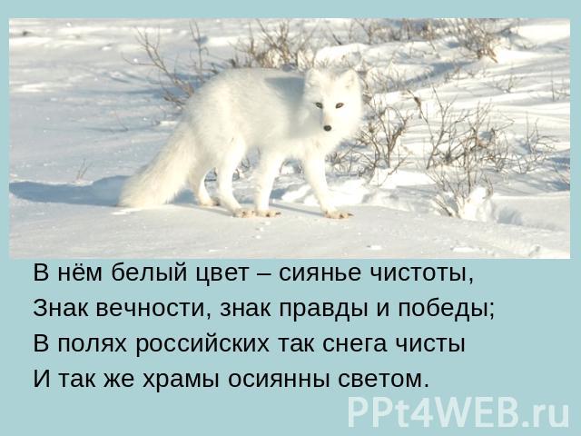 В нём белый цвет – сиянье чистоты,Знак вечности, знак правды и победы;В полях российских так снега чистыИ так же храмы осиянны светом.