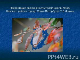 Презентация выполнена учителем школы №323 Невского района города Санкт-Петербург