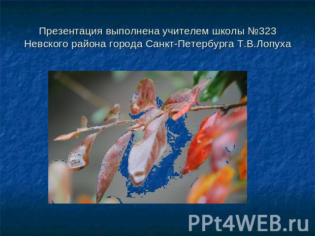 Презентация выполнена учителем школы №323 Невского района города Санкт-Петербурга Т.В.Лопуха